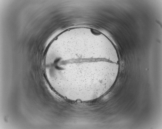 X0000102481101200808291621