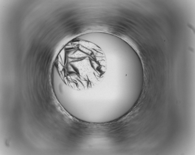 X0000102481104200808291621