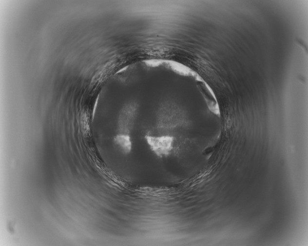 X0000102481106200808291621