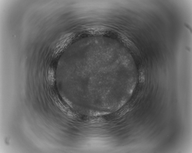 X0000102481108200808291621