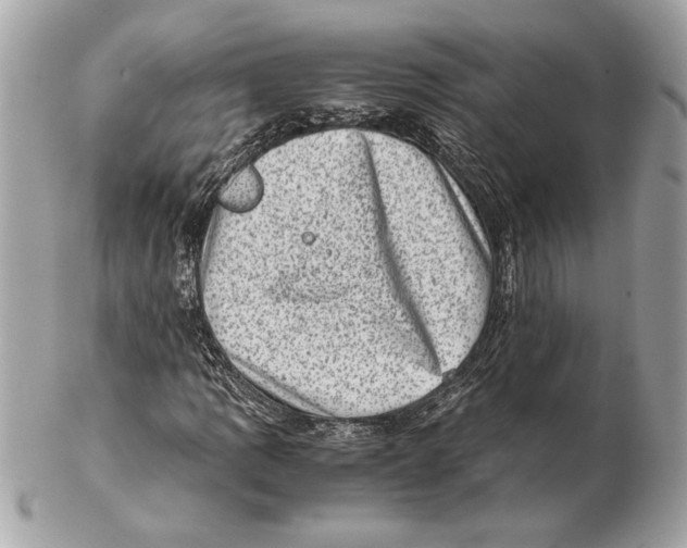 X0000102481109200808291621