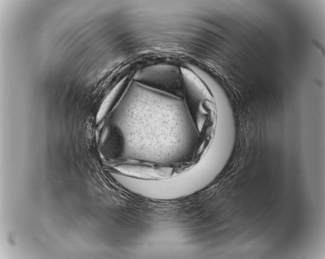 X0000102481110200808291621