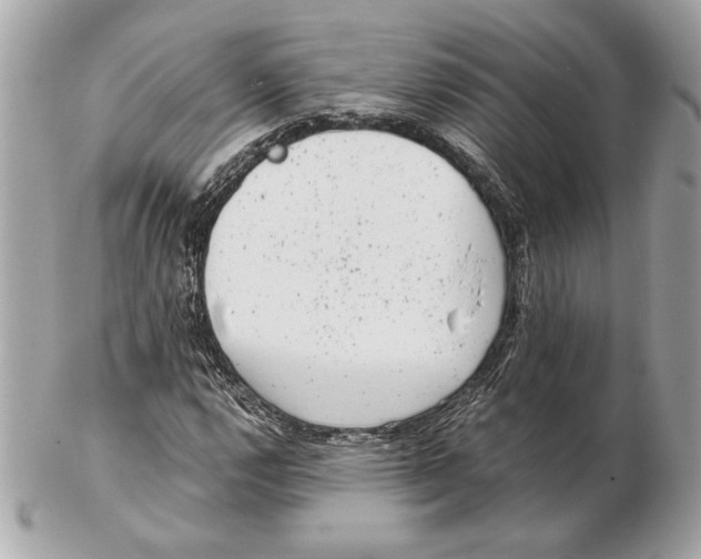 X0000102481112200808291621