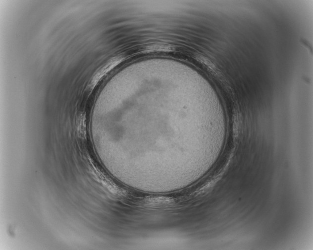 X0000102481113200808291621