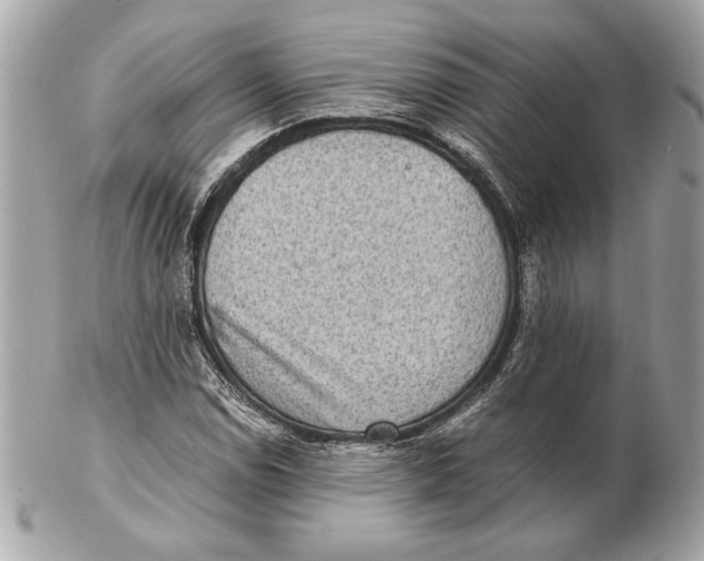 X0000102481114200808291621