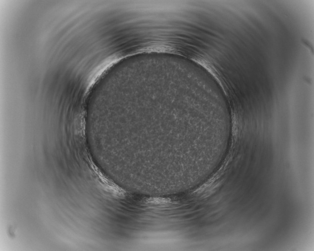 X0000102481115200808291621