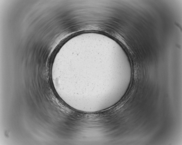 X0000102481116200808291621