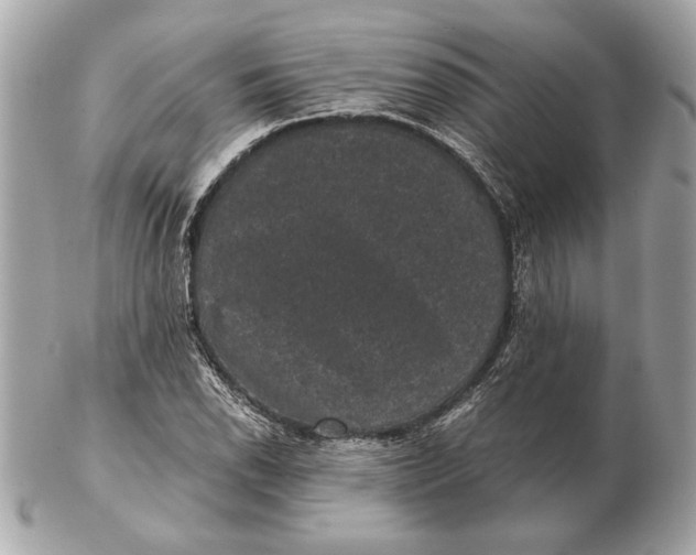 X0000102481118200808291621