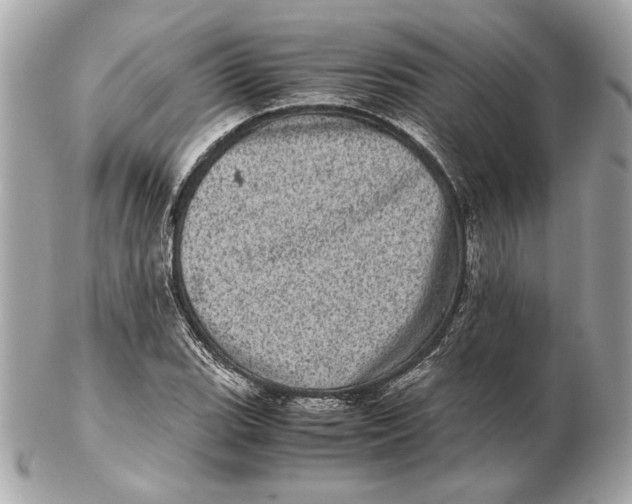 X0000102481119200808291621