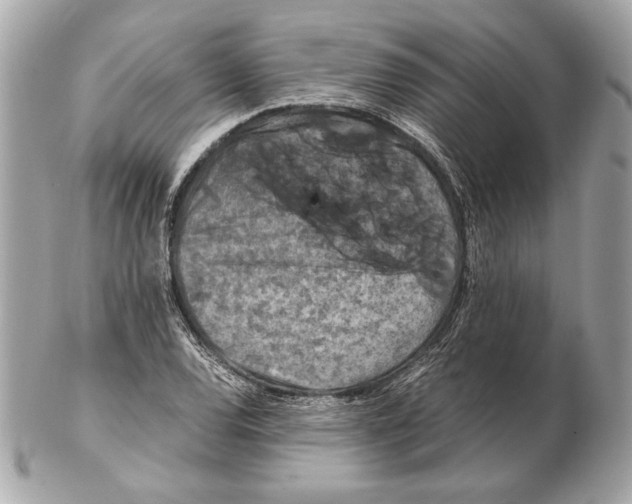 X0000102481120200808291621