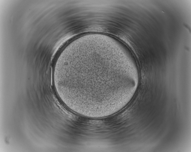 X0000102481123200808291621