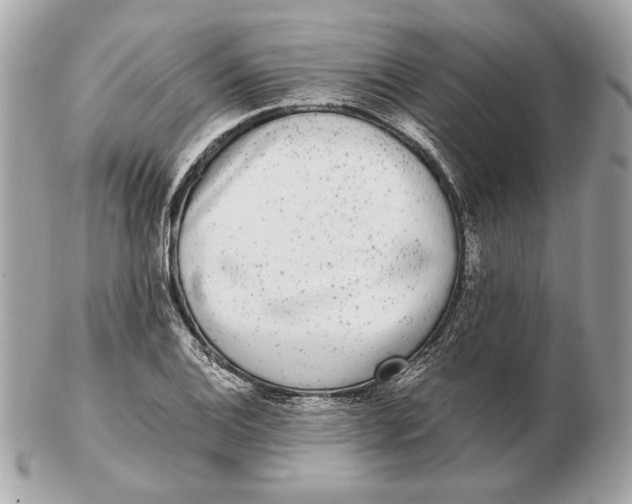 X0000102481124200808291621