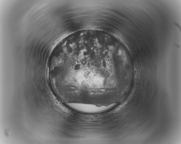 X0000102481125200808291621