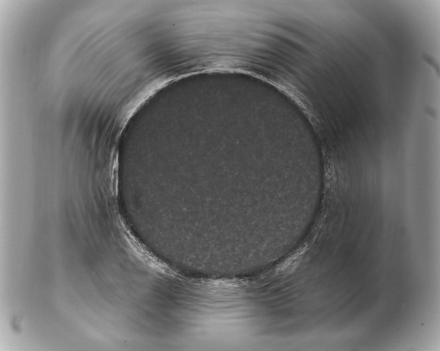 X0000102481126200808291621