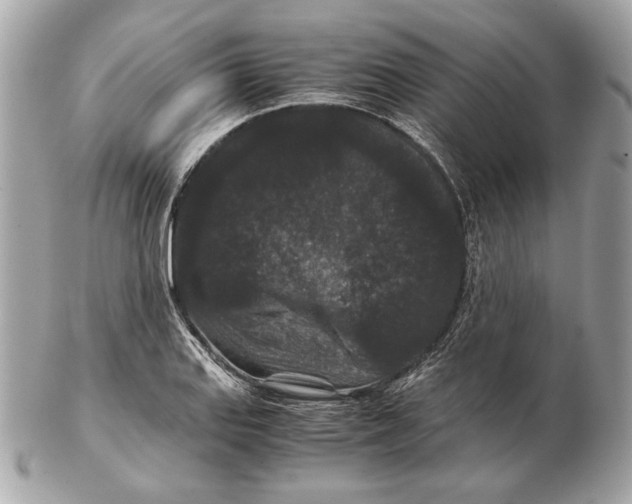 X0000102481127200808291621