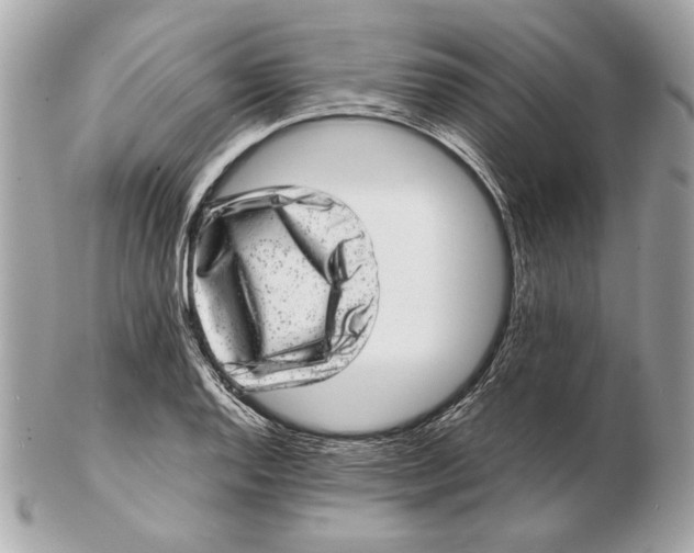 X0000102481128200808291621