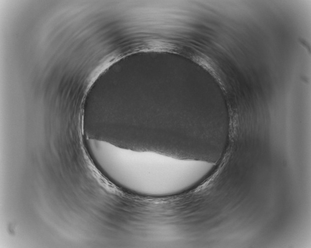 X0000102481130200808291621