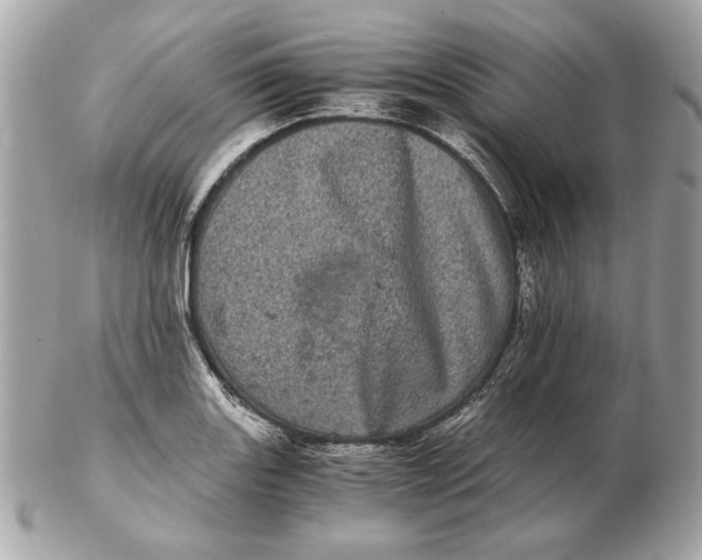 X0000102481131200808291621