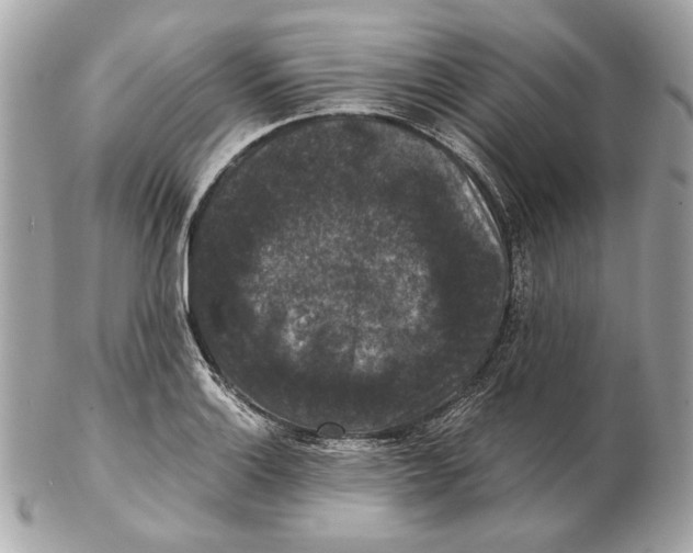 X0000102481132200808291621