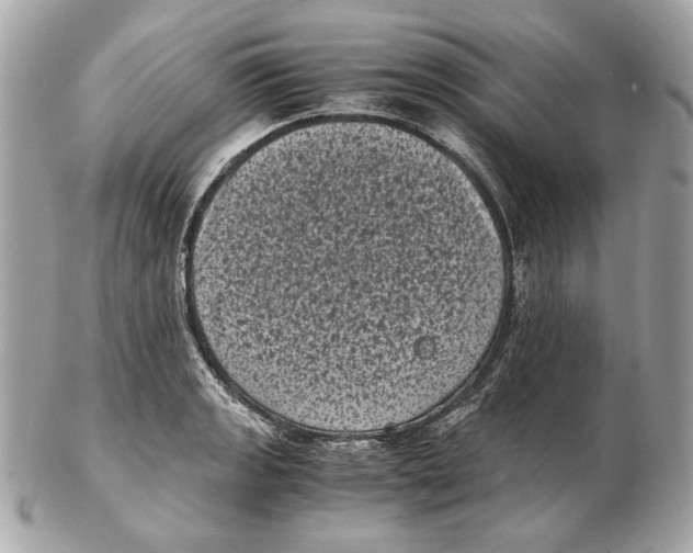 X0000102481133200808291621