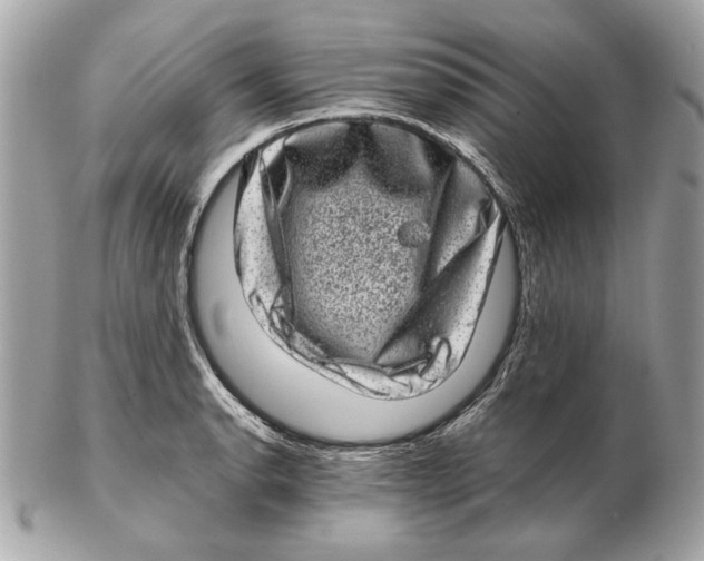 X0000102481134200808291621