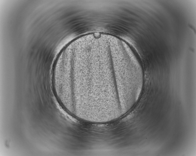 X0000102481135200808291621