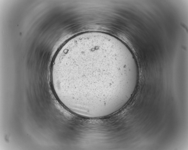 X0000102481136200808291621