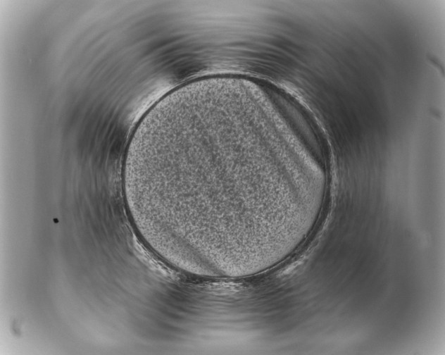 X0000102481137200808291621