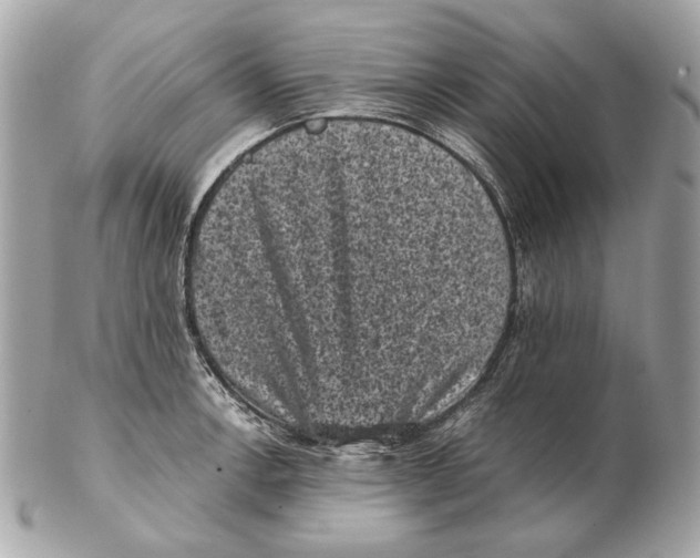 X0000102481138200808291621