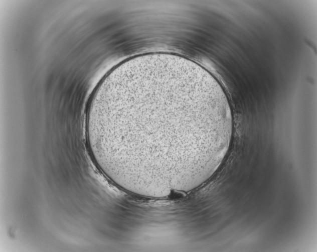 X0000102481140200808291621