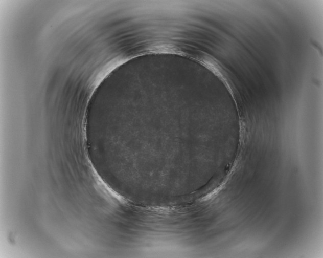 X0000102481141200808291621