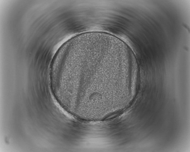 X0000102481142200808291621