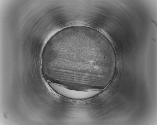 X0000102481144200808291621