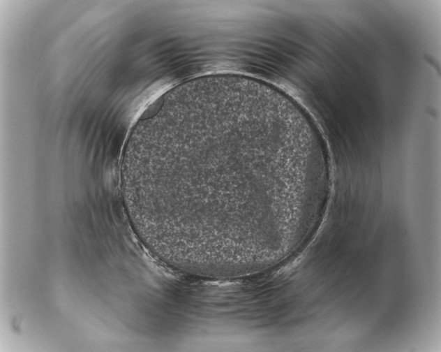 X0000102481145200808291621