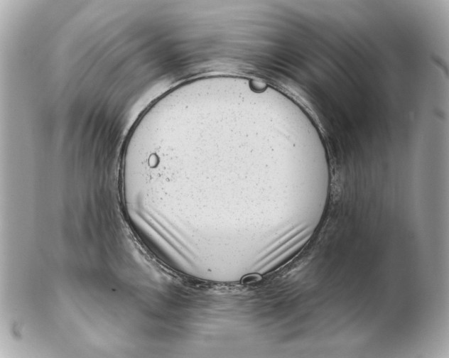 X0000102481146200808291621