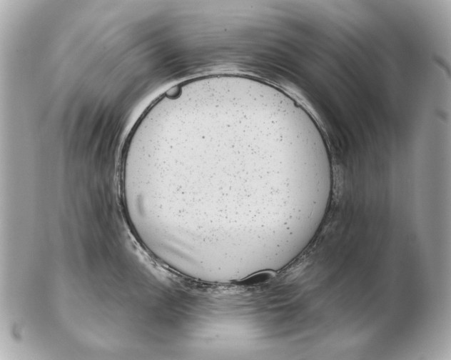 X0000102481148200808291621