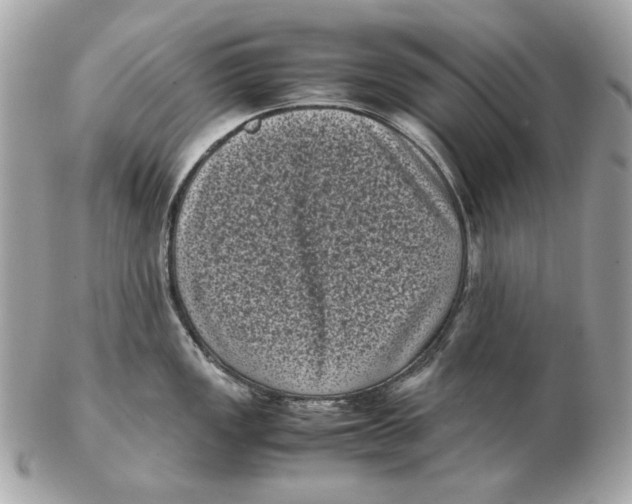 X0000102481149200808291621