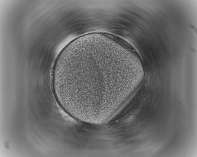 X0000102481151200808291621