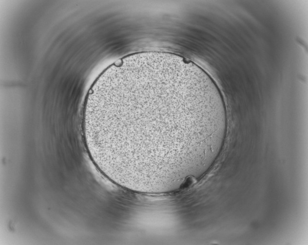 X0000102481152200808291621