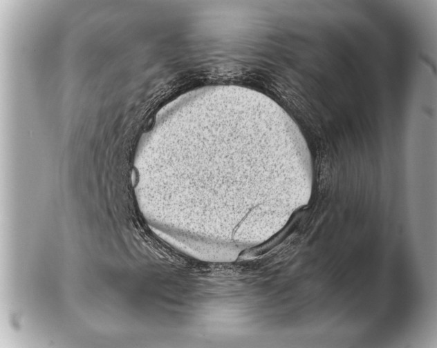 X0000102481153200808291621