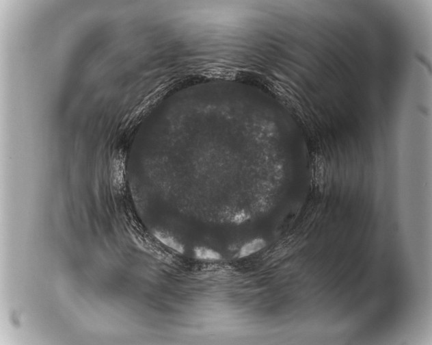 X0000102481154200808291621