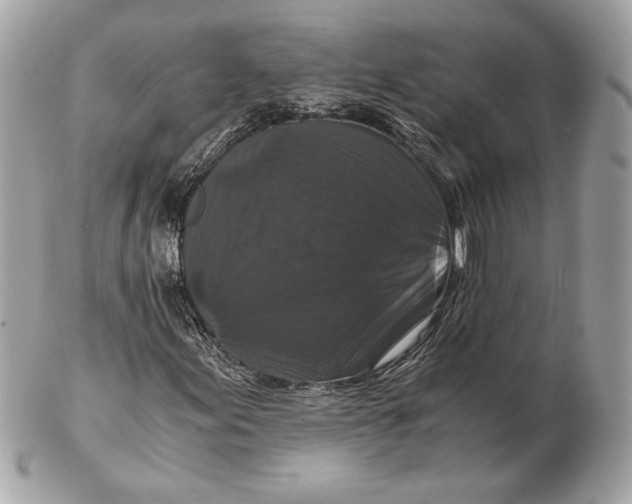 X0000102481155200808291621