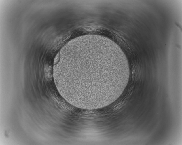 X0000102481156200808291621