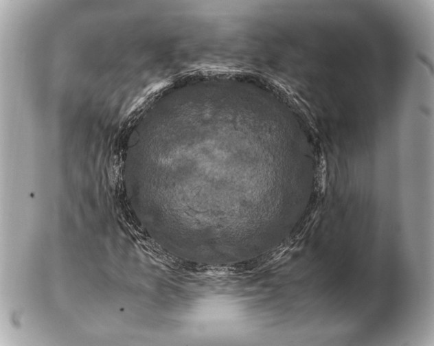 X0000102481157200808291621