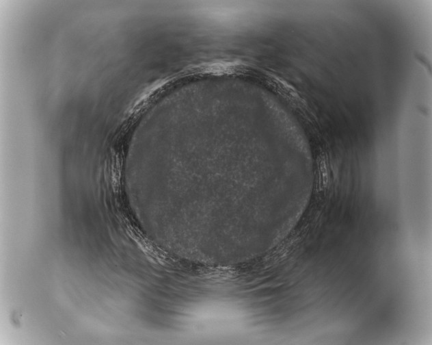 X0000102481158200808291621