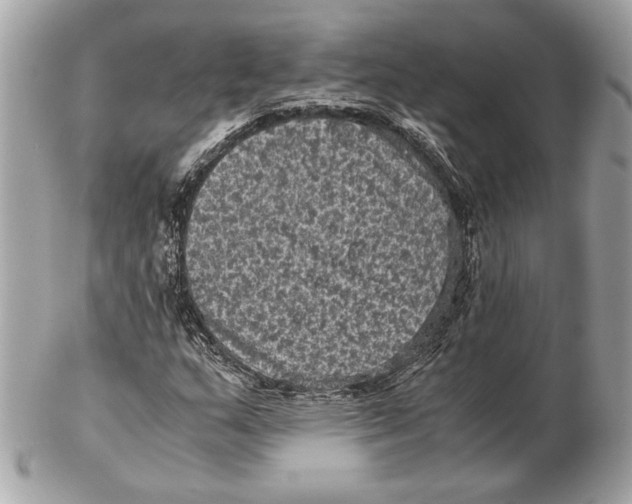 X0000102481159200808291621