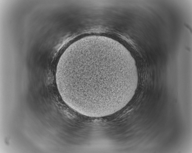 X0000102481160200808291621