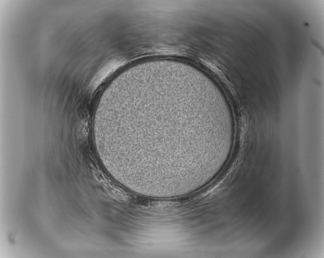 X0000102481163200808291621