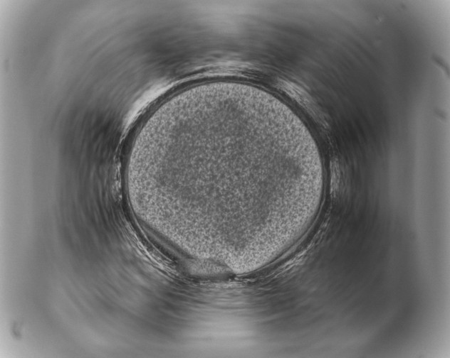 X0000102481164200808291620