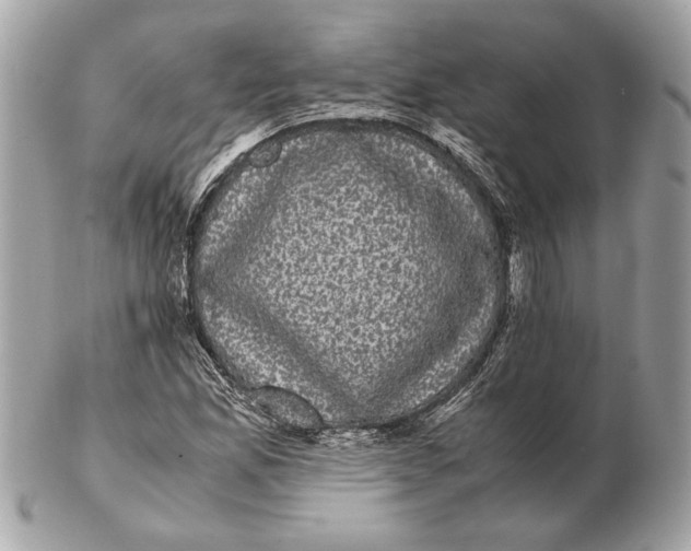 X0000102481165200808291620